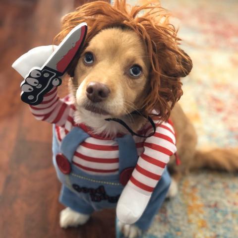 Doggy Chucky Costume