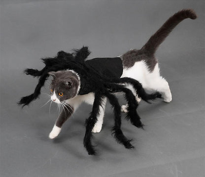 Spider Pet Halloween Costume