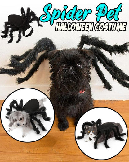 Spider Pet Halloween Costume