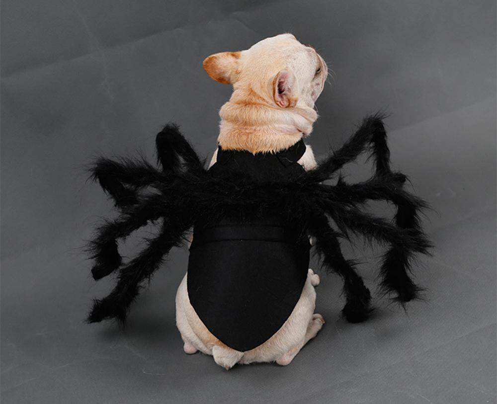 Spider Pet Halloween Costume