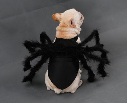 Spider Pet Halloween Costume