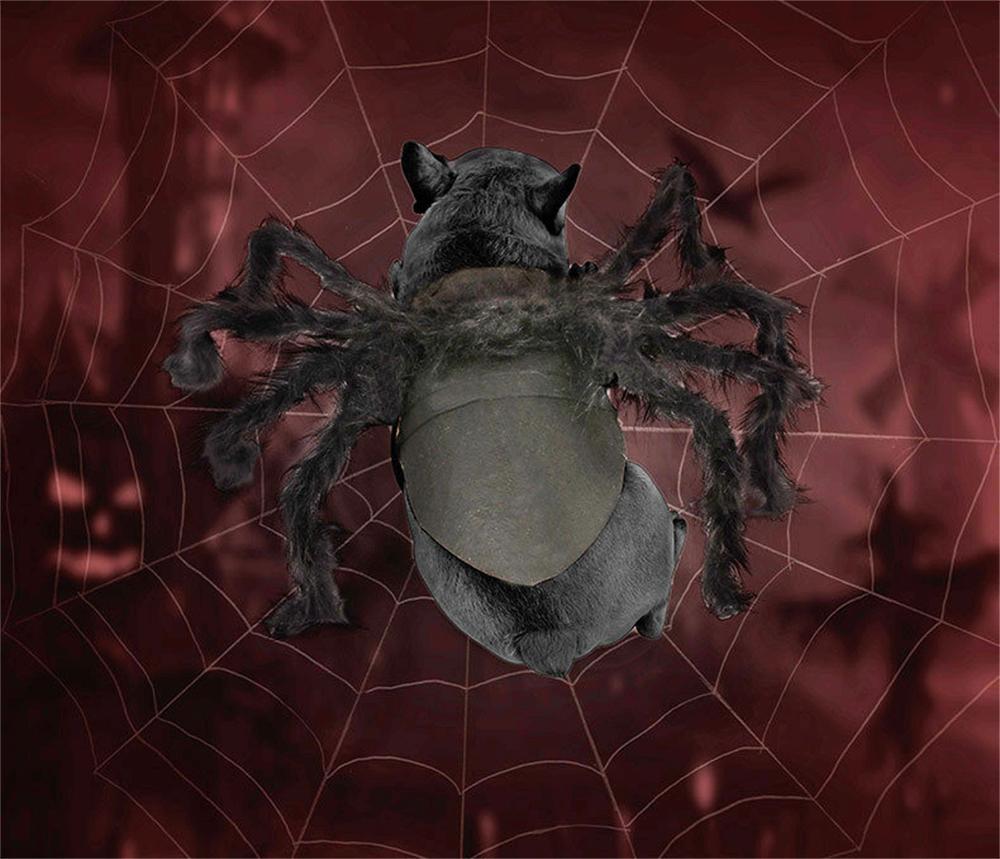 Spider Pet Halloween Costume