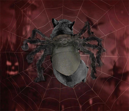 Spider Pet Halloween Costume