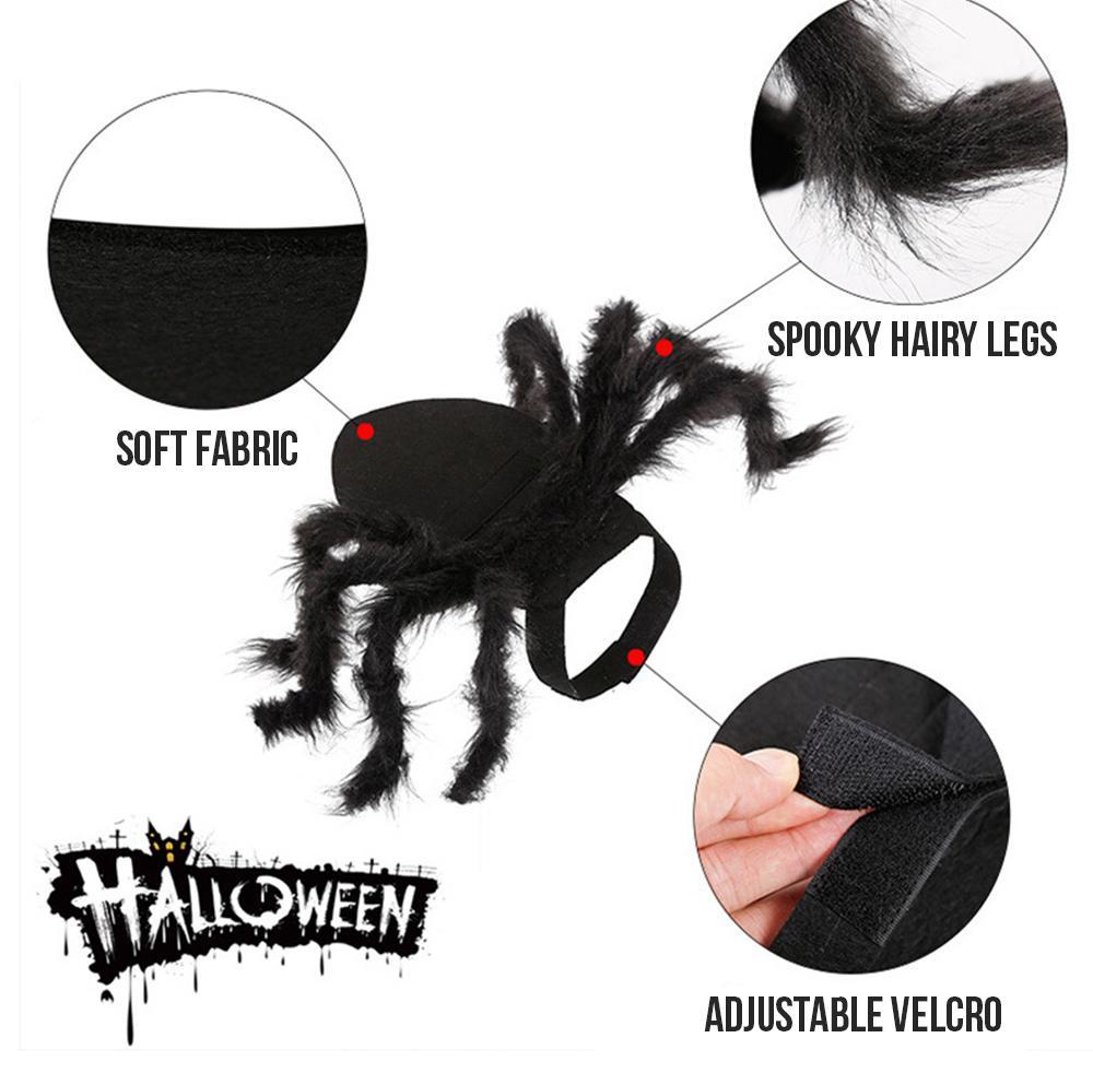 Spider Pet Halloween Costume