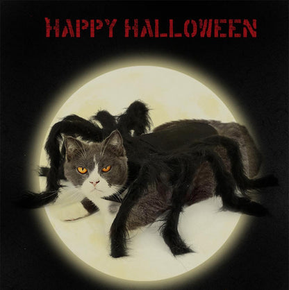 Spider Pet Halloween Costume