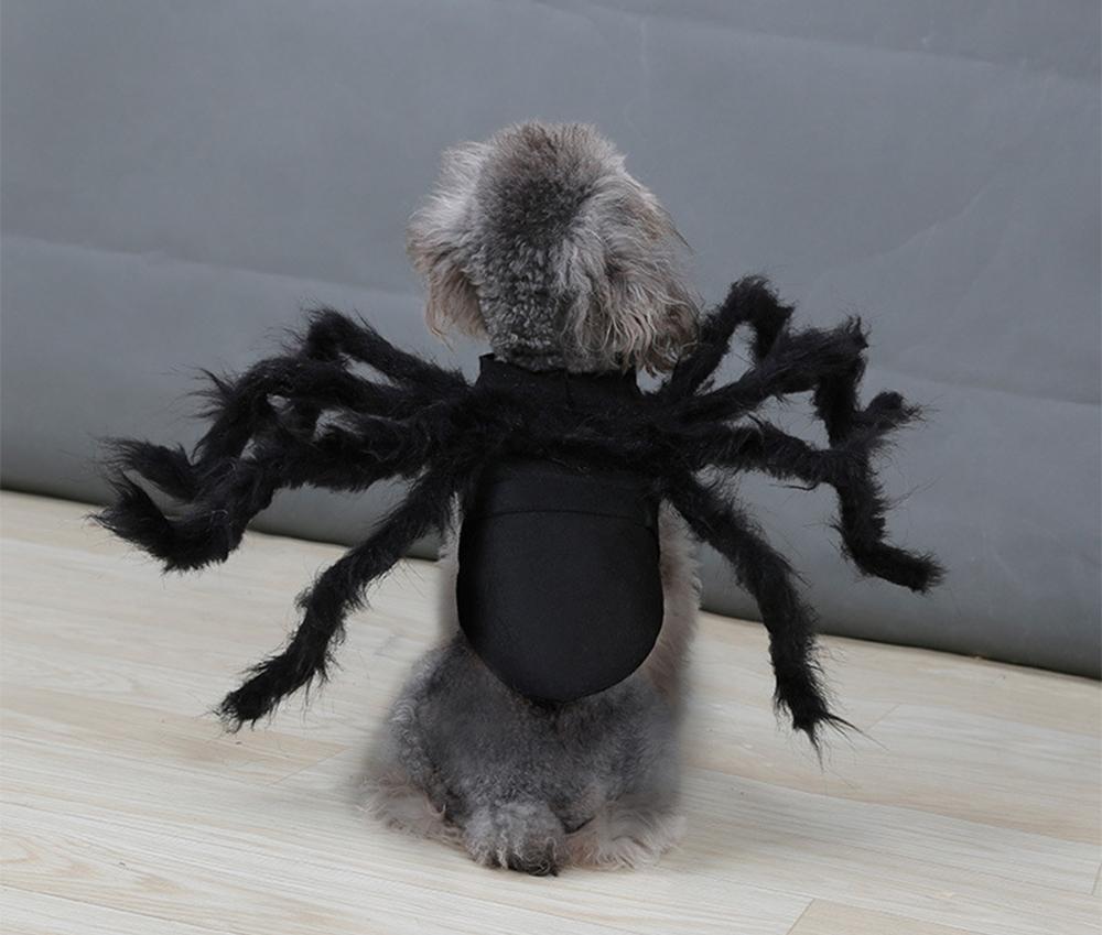 Spider Pet Halloween Costume